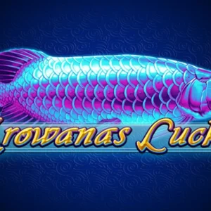 Arowanas Luck