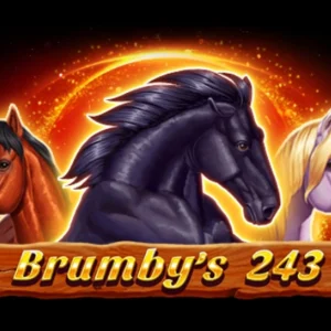 Brumby's 243