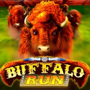 Buffalo Run