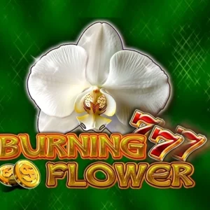 Burning Flower