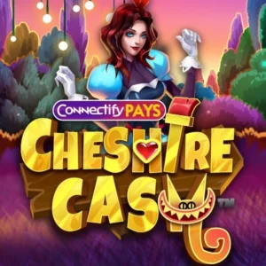 Connectify Pays Cheshire Cash
