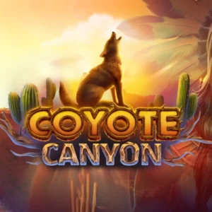 Coyote Canyon