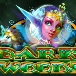 Dark Woods