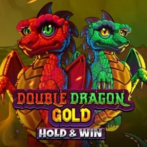 Double Dragon Gold: Hold & Win