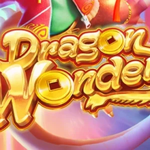 Dragon Wonder