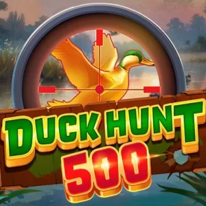 Duck Hunt 500