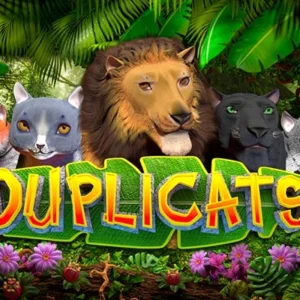 Duplicats