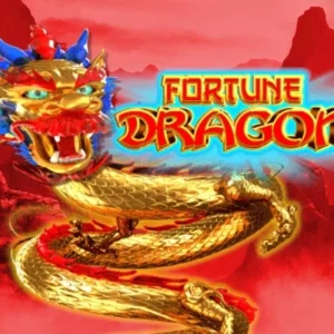 Fortune Dragon