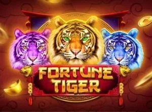 Fortune Tiger