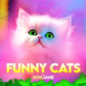 Funny Cats