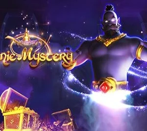 Genie Mystery