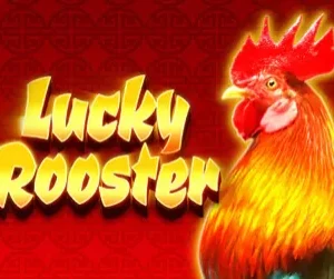 Lucky Rooster
