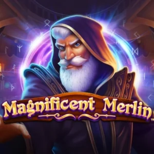 Magnificent Merlin