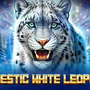 Majestic White Leopard