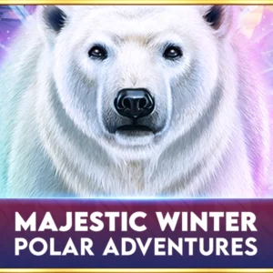 Majestic Winter - Polar Adventures