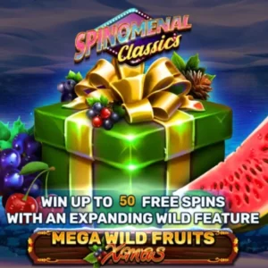 Mega Wild Fruits - Xmas