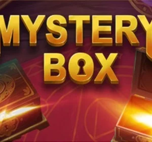 Mystery Box