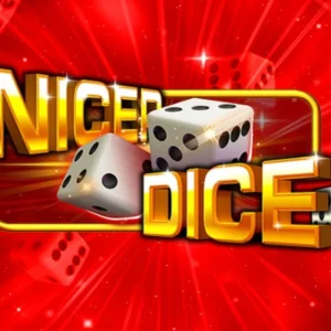 Nicer Dice 100