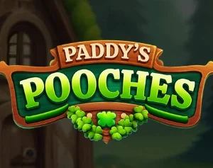 Paddy's Pooches