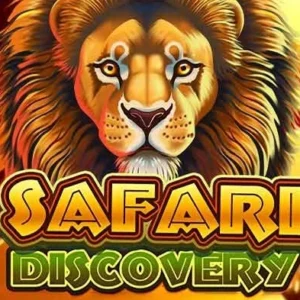 Safari Discovery