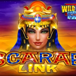 Scarab Link