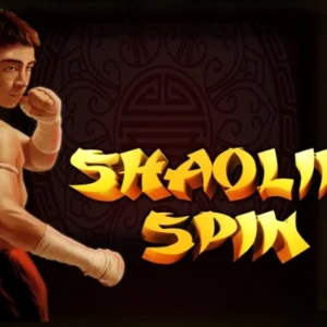 Shaolin Spin