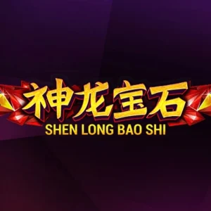 Shen Long Bao Shi