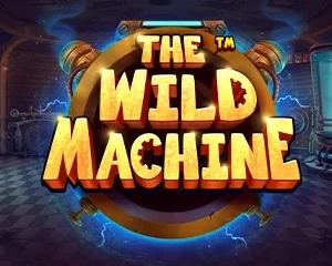 The Wild Machine