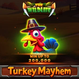 Turkey Mayhem