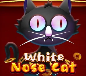 White Nose Cat