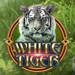 White Tiger