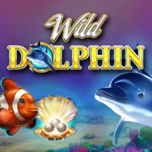 Wild Dolphin
