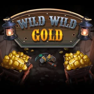 Wild Wild Gold