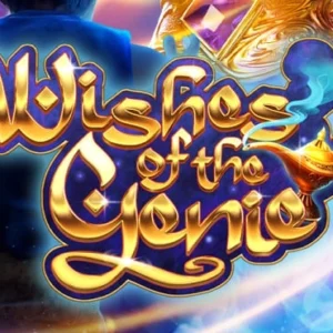 Wishes of the Genie