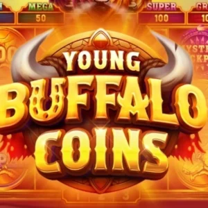 Young Buffalo Coins